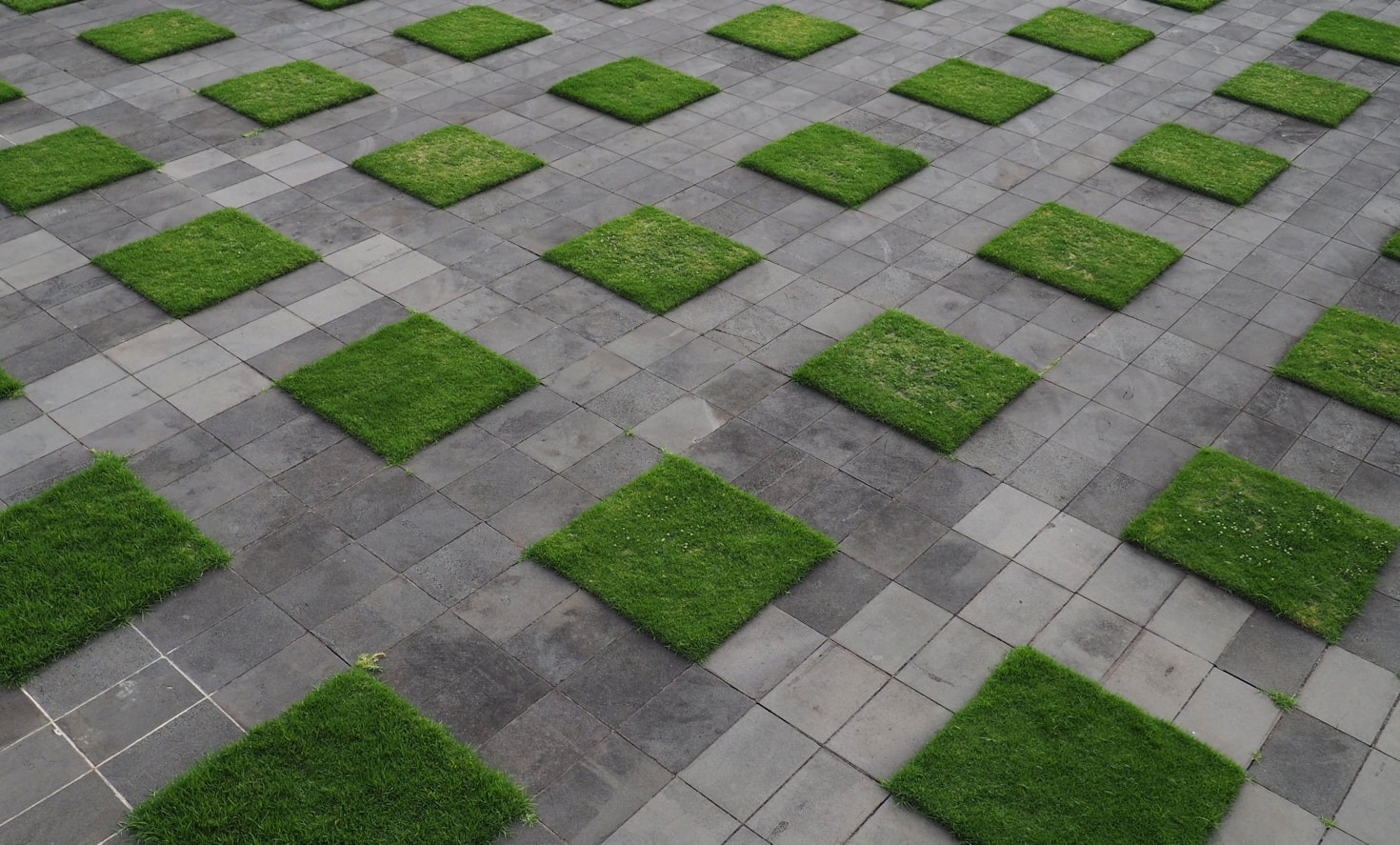 How Artificial Grass Helped Me Find Comfort